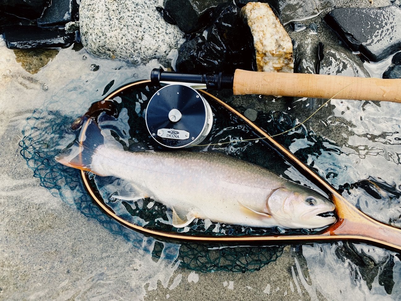 The classic reel is a work of art. Hello from IWANA Fly Fishing.
