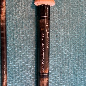 Scott ARC 1509/4 15' /9Wt / Fly Fishing / King Salmon | eBay