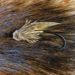 Hair Brown Grass Fur Close-up