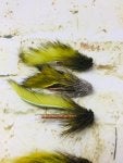 Feather Yellow Tail