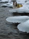 IMG_0030.jpeg